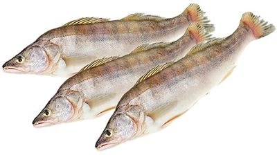 Судак замороженный ~1,2кг-0}