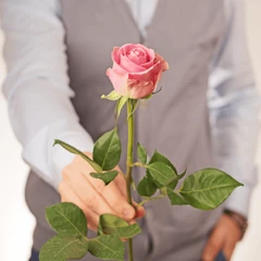 Роза розовая Вэм ~50см 1шт