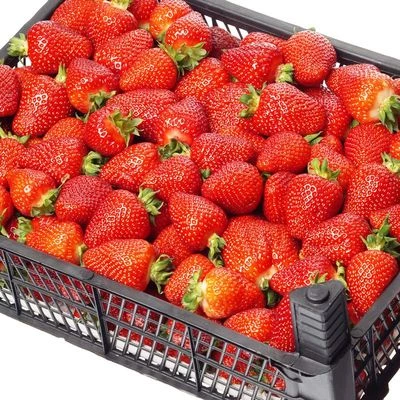 Клубника Краснодарская свежая ~5кг-1}