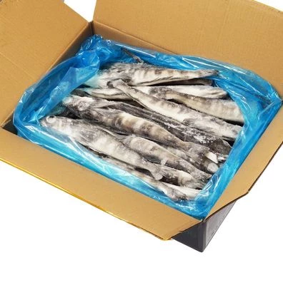 Ледяная рыба 5кг-1}