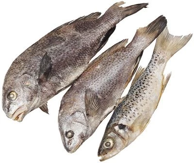 Пристипома мороженая ~ 1,2кг-0}