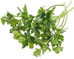Петрушка свежая Тульская область 50г