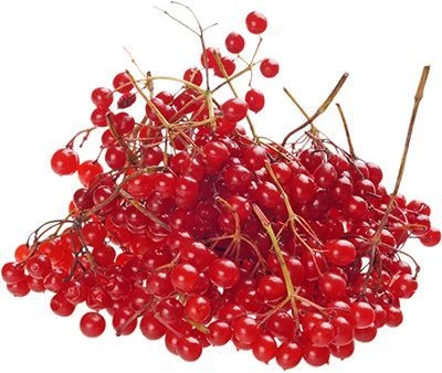 Калина свежая ~200г-1}