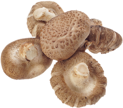Грибы Шиитаке свежие ~200г-0}