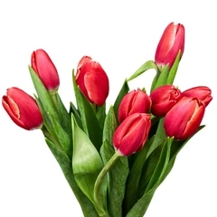 Букет красно-белых тюльпанов 9шт