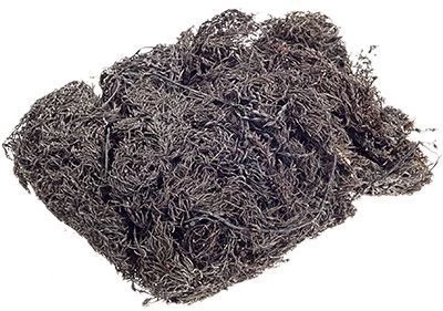 Морской виноград сушеный 100г-0}