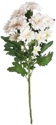 Хризантема Пастела Пинк 1шт-0}