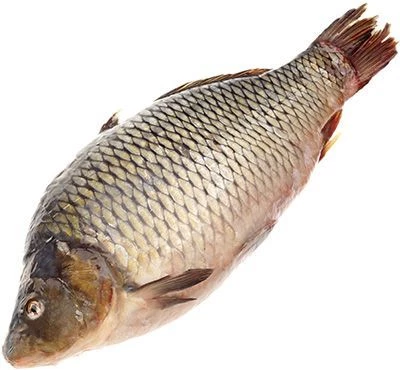 Карп Ростовский крупный непотрошеный ~1,5кг-0}