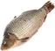 thumb-Карп Ростовский крупный непотрошеный ~1,5кг-0}