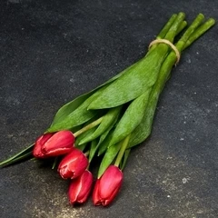 Букет красно-белых тюльпанов 5шт