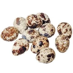 Яйцо перепелиное пищевое столовое 20шт