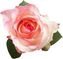 thumb-Роза Булевард 1шт-2}