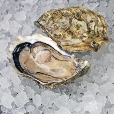 Устрица Тиа Мара Ирландия 1шт-0}