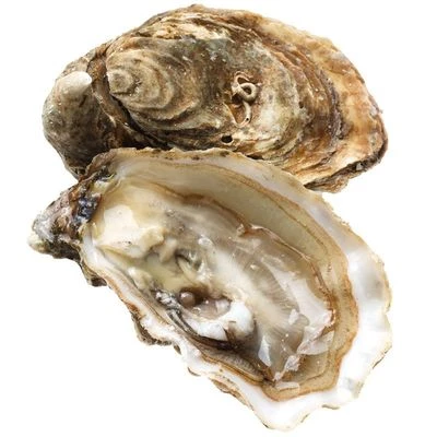 Устрица Лунная жемчужина  1шт-0}