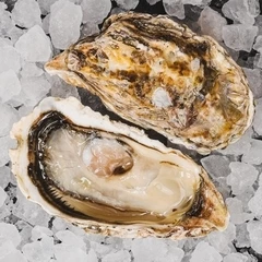 Устрица Сайон ~90г