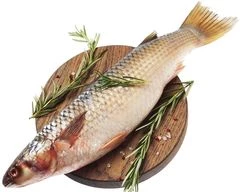 Кефаль азовская ~1,5кг