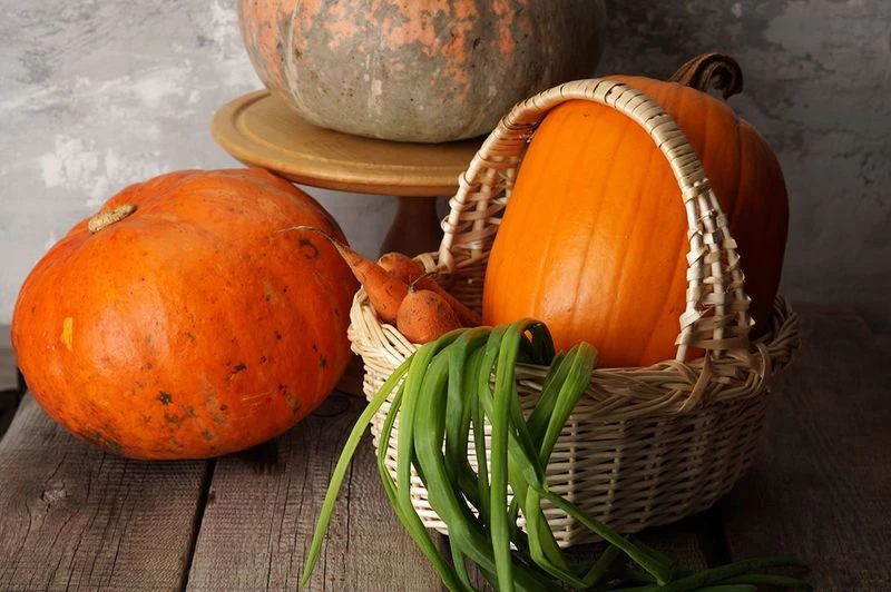 Все о тыкве: лучшие сорта, полезные свойства и приготовление
