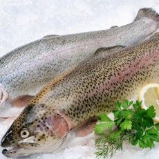 ОХЛАЖДЕННАЯ РЫБА СНОВА В ПРОДАЖЕ