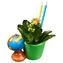 thumb-Композиция из каланхоэ в кашпо Школа в ассортименте-0}