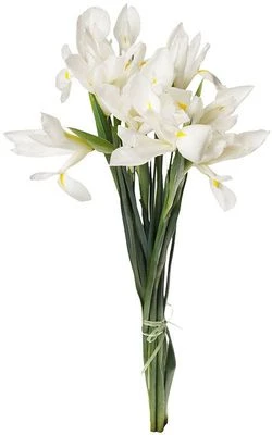 Букет ирисов Вайт Мейджик 9шт-0}