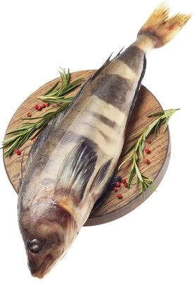 Терпуг дальневосточный тушка ~1,2кг-0}