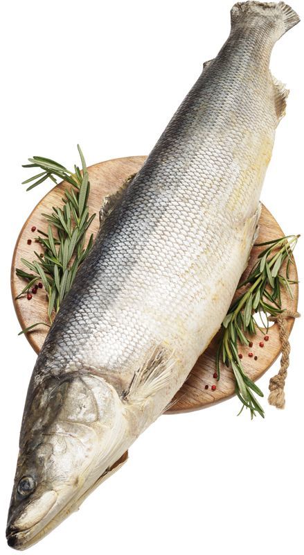 Нельма отзывы о рыбе: реальные отзывы покупателей о вкусе и качестве рыбы Нельма