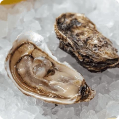 Устрица Люмьер