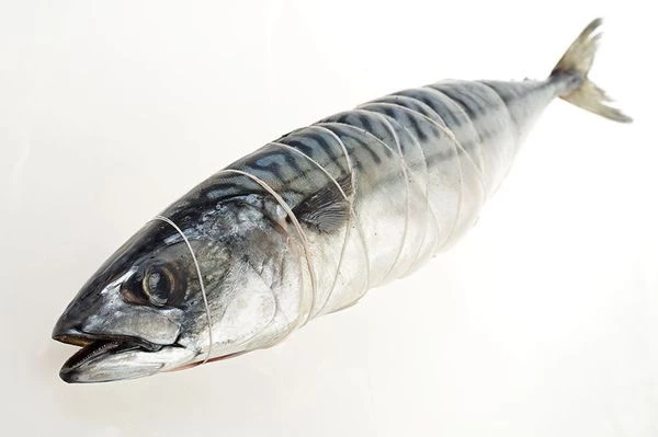 Зафаршировать брюшко луком и укропом. Обвязать кулинарной нитью, чтобы в процессе приготовления начинка не выпала.