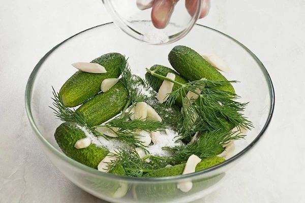 В глубокую чашку выложить огурчики, чеснок, хрен, веточки укропа. Посолить, хорошо перемешать.