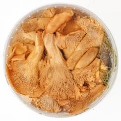 Лисички соленые Деликатеска 1л