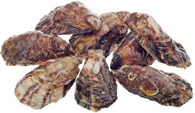 Устрица Шима 1шт-0}