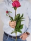 thumb-Пион Фуксия 1шт-0}