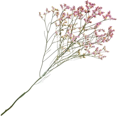 Лимониум Анушка Даймонд для букетов 1шт-0}