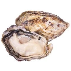 Устрица Моари 1шт
