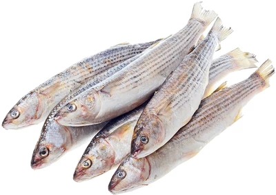 Кефаль азовская тушка ~1,2кг-1}