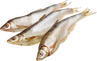 Красноперка азовская замороженная ~1кг-0}