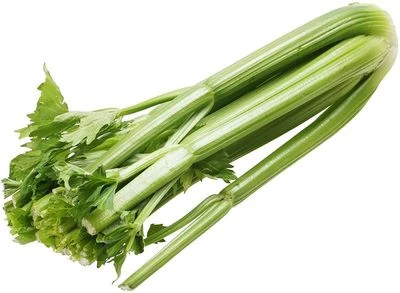 Сельдерей стебель Россия 1шт-0}