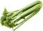 thumb-Сельдерей стебель Россия 1шт-0}