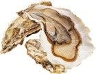 Устрицы Золотые Дальневосточные ~ 1кг