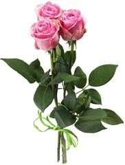 Букет роз Вэм 3шт