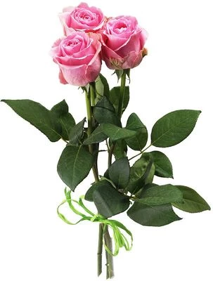 Букет роз Вэм 3шт-0}