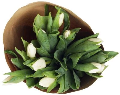 Букет белых тюльпанов в крафте 11шт-1}