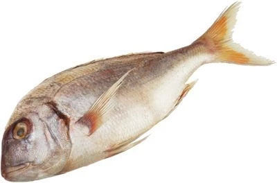 Пагр непотрошеный с головой ~ 1,2кг-0}