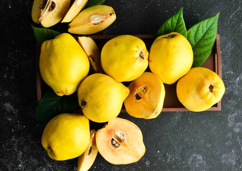 Польза айвы: укрепляем иммунитет и улучшаем пищеварение