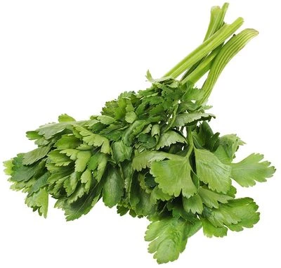 Сельдерей Россия 150г-0}