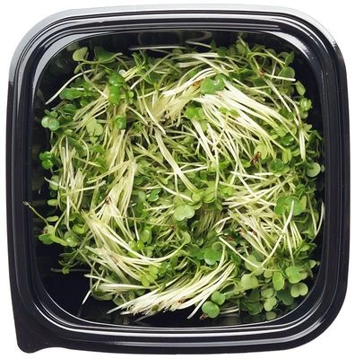 Микрозелень Руккола 30г-1}