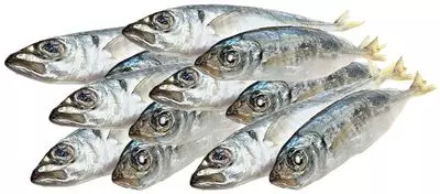 Ставрида черноморская замороженная 1кг купить в Москве с доставкой на ...