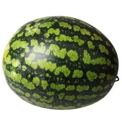 Арбуз холодок Краснодарский край ~10кг