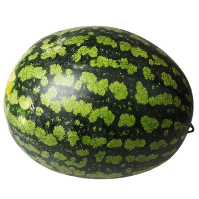 Арбуз холодок Краснодарский край ~10кг-0}