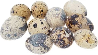 Яйцо перепелиное для детского питания 10шт-0}